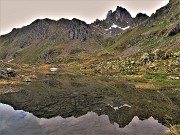 Spettacolo di fiori e marmotte sui sentieri per i Laghetti di Ponteranica–9giu23- FOTOGALLERY